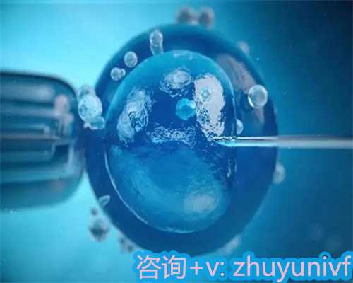 未婚人士助孕全攻略与合法指南